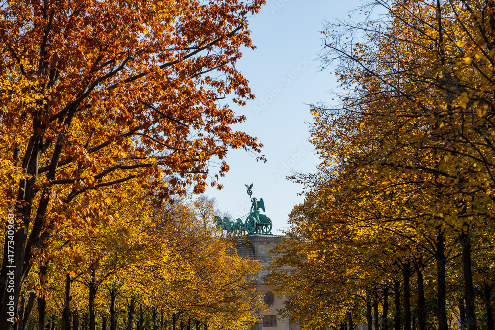 Fototapeta premium Brandenburger Tor (Quadriga)
