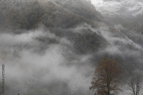 Panorama of the foggy winter landscape