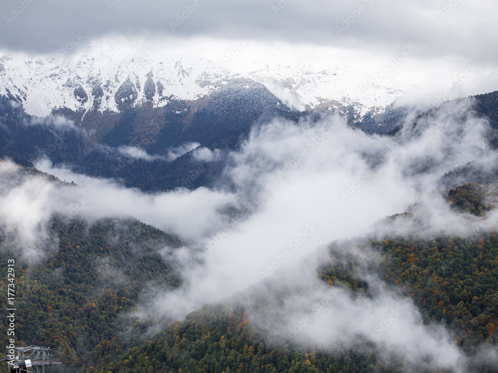 Panorama of the foggy winter landscape