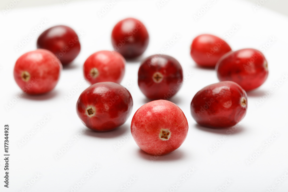 red cranberry fruit red cranberry fruit