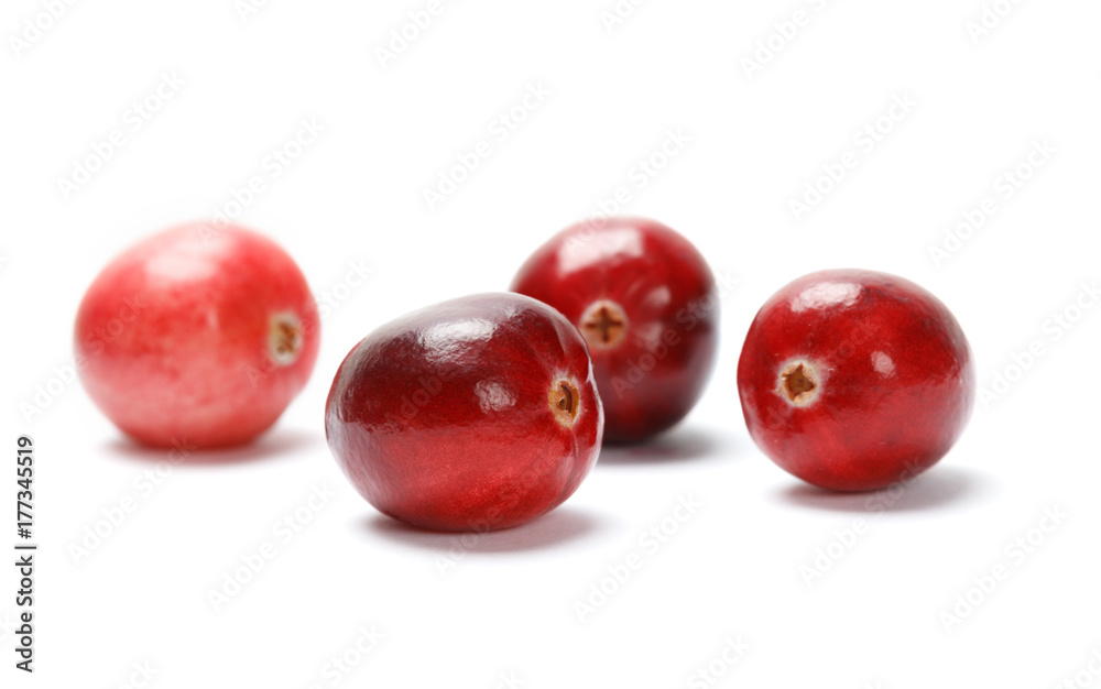 red cranberry fruit