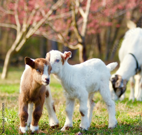 Sisters Sharing Secrets