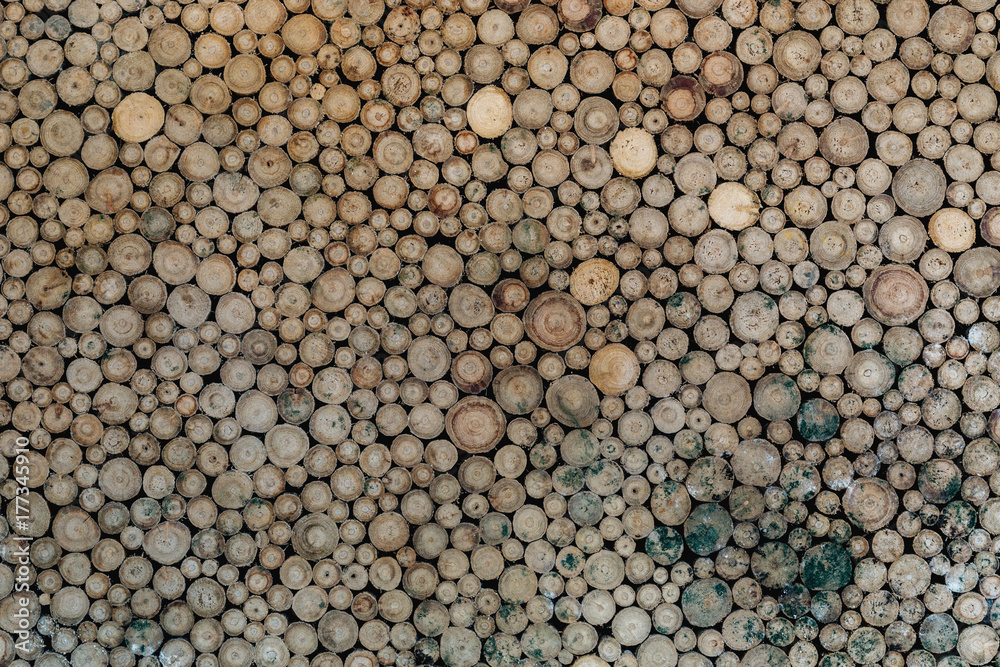 Wood pattern Wood pattern