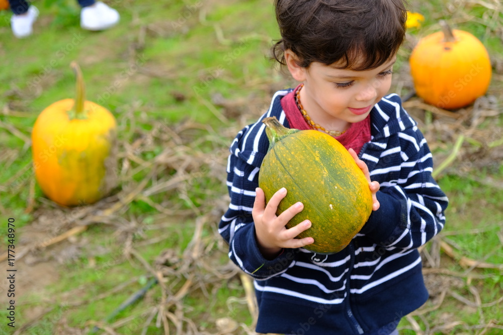 Fototapeta premium boy in pumpkin patch
