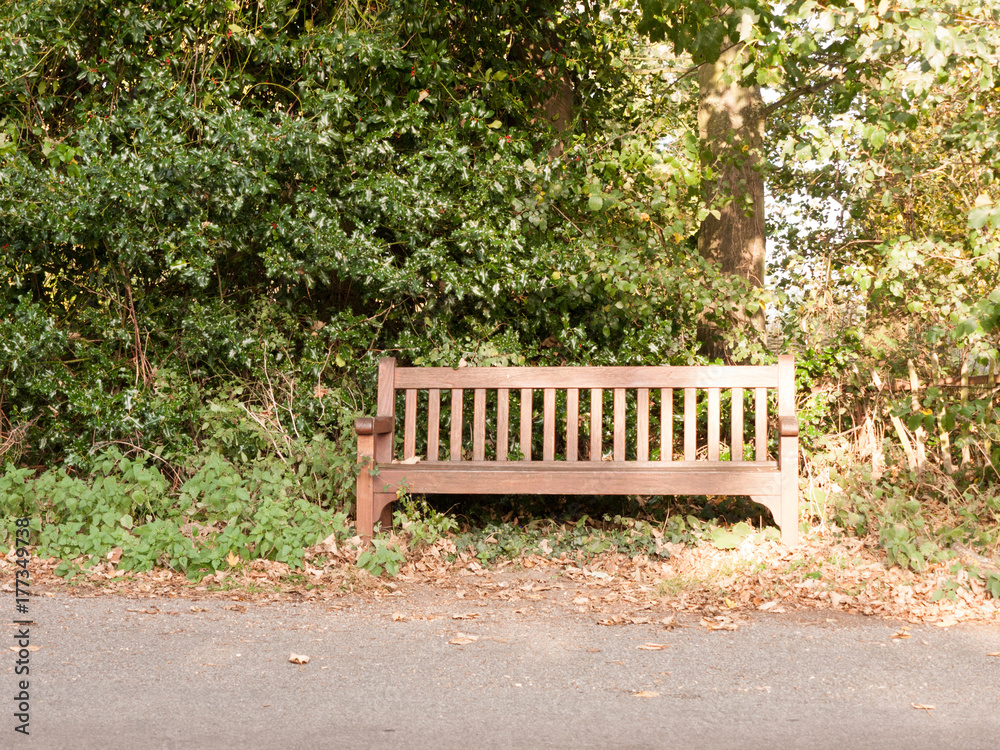 empty wooden park country bench in front of road and trees