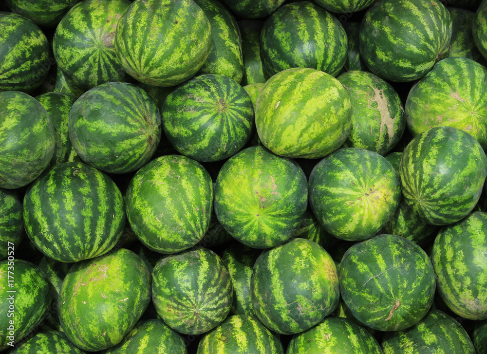 Watermelons at the Market Watermelons at the Market