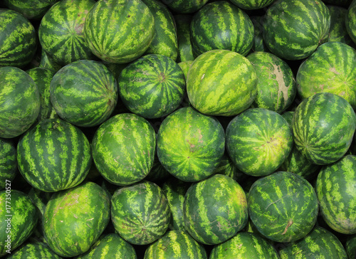 Watermelons at the Market