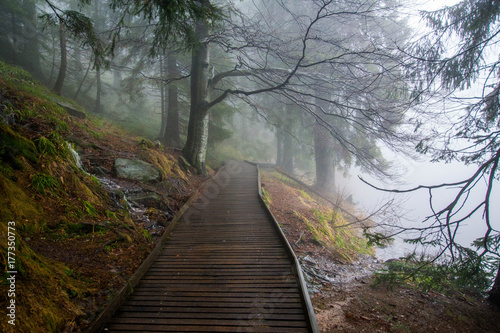 Mummelsee im Schwarzwald
