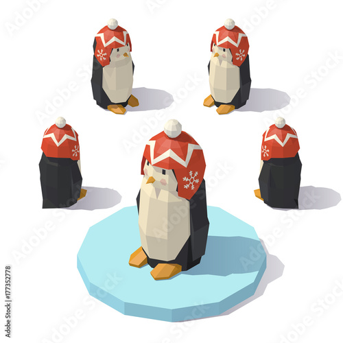 Penguin in a knitted hat