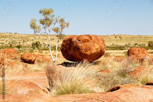 in australia the rocks  of devil  marble photo