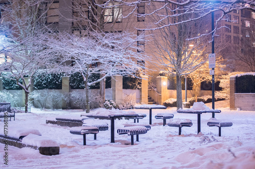 雪の夜の住宅街の公園 © littlekissphotograpy