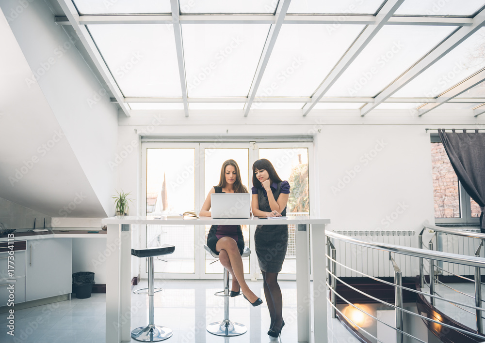 Businesswomen in the Office Businesswomen in the Office
