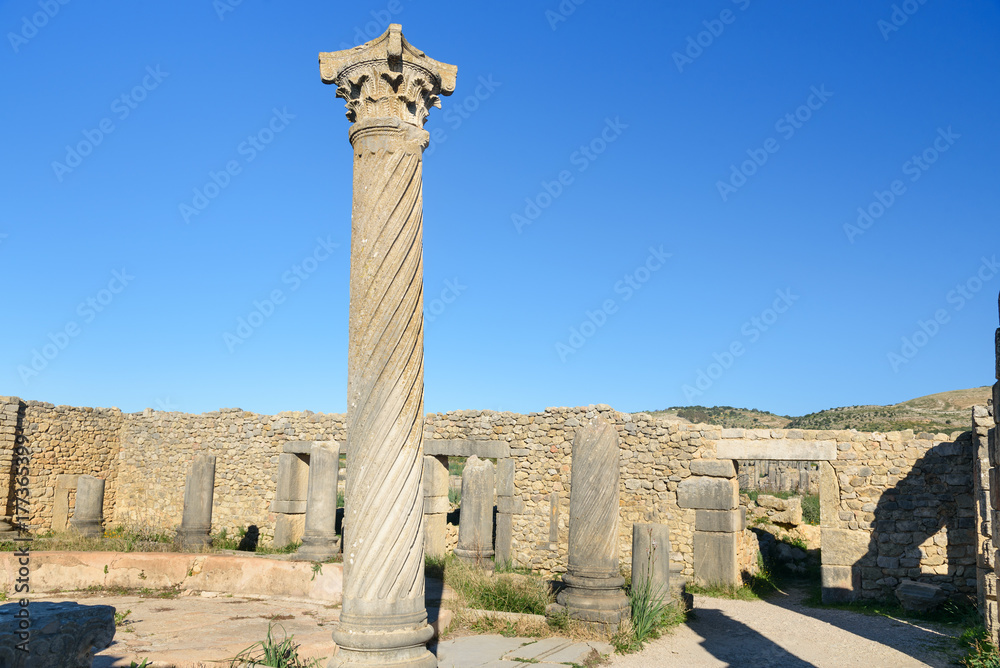 Columns in Roman ruins, ancient Roman city of Volubilis. Morocco