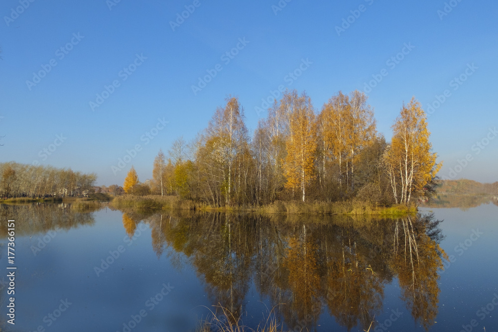 Autumn landscape. Trees with yellow leaves reflected in the water of the lake.