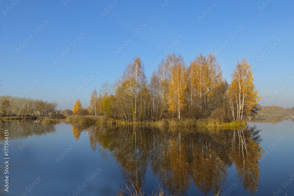 Autumn landscape. Trees with yellow leaves reflected in the water of the lake. Autumn landscape. Trees with yellow leaves reflected in the water of the lake.