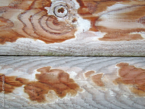 Wallpaper Mural Old wooden wall background closeup Torontodigital.ca