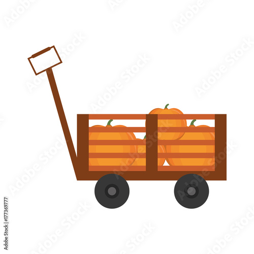 handcart icon image