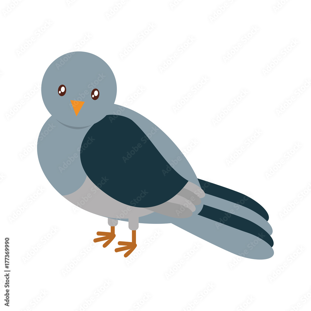 Fototapeta premium pigeon bird icon