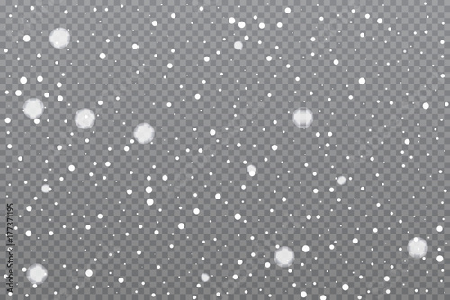 Fotografie, Obraz Realistic falling snow on transparent background