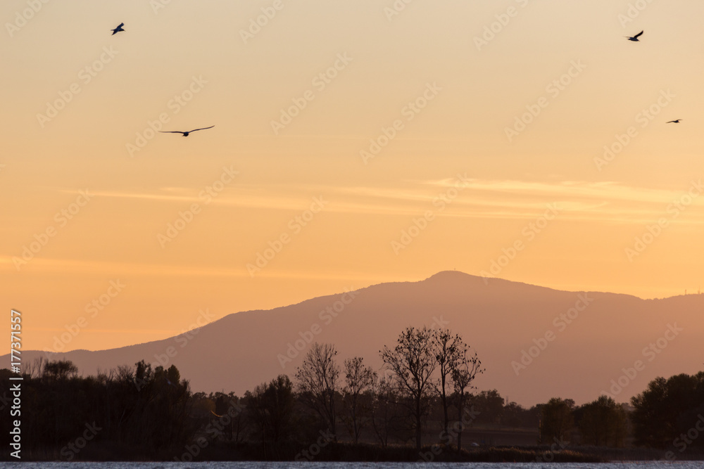 Seagulls flying over a lake at sunset, with trees silhouettes and distant mountains
