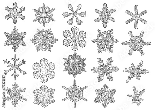 Snowflakes illustration, drawing, engraving, ink, line art, vector