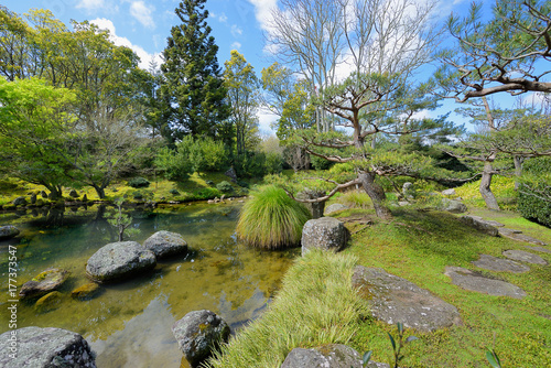 Japanese garden at Hamilton Botanical Gardens