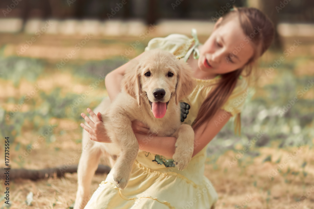 Retriever pup Lovely scene cute young teen girl enjoying posing summer time vacation with best friend dog ivory white labrador puppy.Happy airily careless childhood life world of dreams with puppies Retriever pup Lovely scene cute young teen girl enjoying posing summer time vacation with best friend dog ivory white labrador puppy.Happy airily careless childhood life world of dreams with puppies