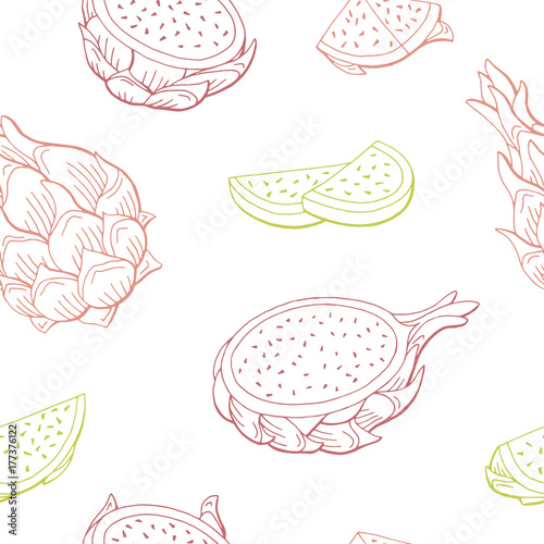 Pitaya dragon fruit graphic color seamless pattern sketch illustration vector