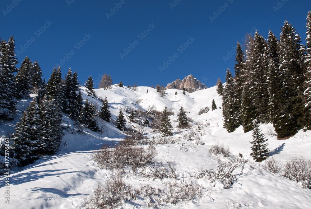 Skiing area in the Dolomites Alps. Overlooking the Sella group  in Val Gardena. Italy