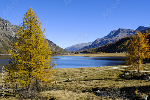 Autumn in the valley of Engadin, Graubünden, Switzerland, Europe