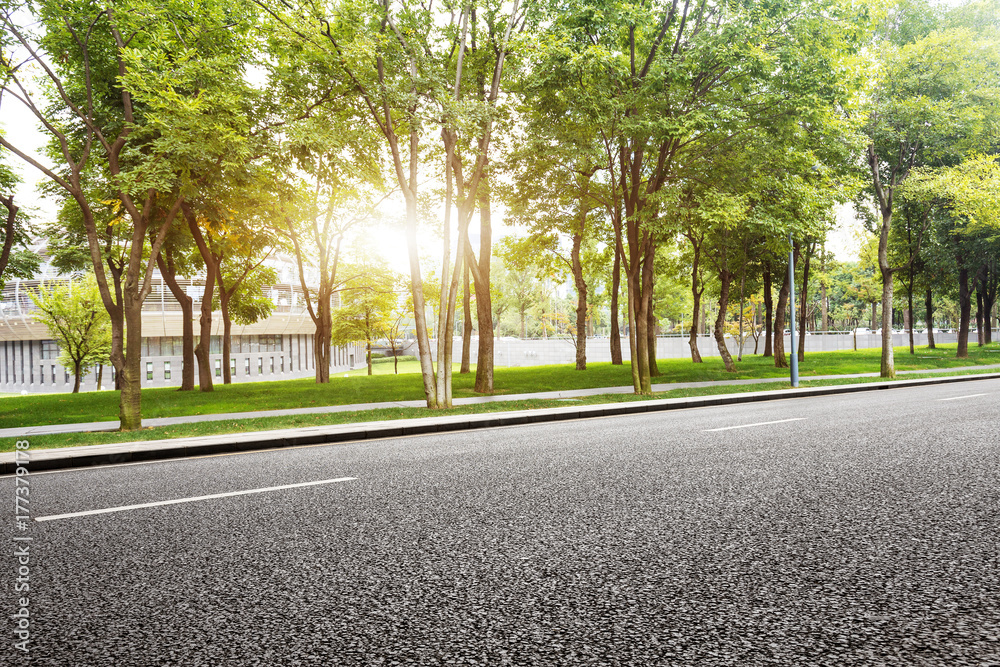 empty asphalt road with green trees