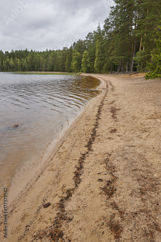 Finland sand beach and forest in Helvetinjarvi national park. photo