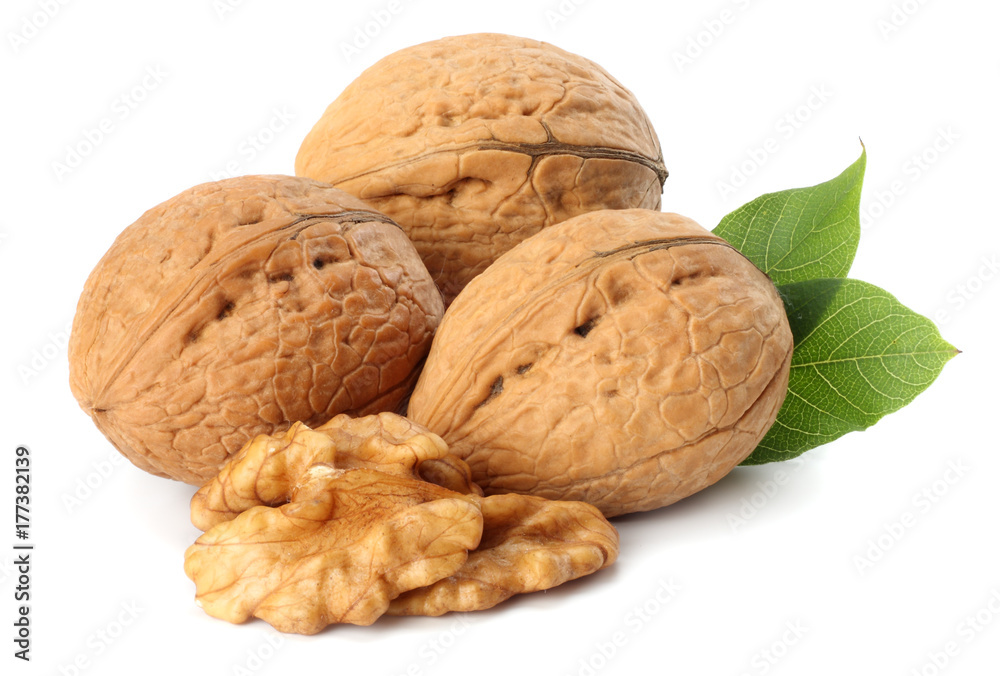 Green walnuts with leaves isolated on a white background Green walnuts with leaves isolated on a white background