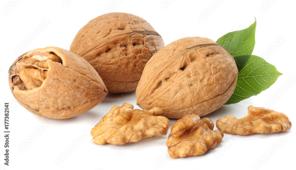 Green walnuts with leaves isolated on a white background Green walnuts with leaves isolated on a white background