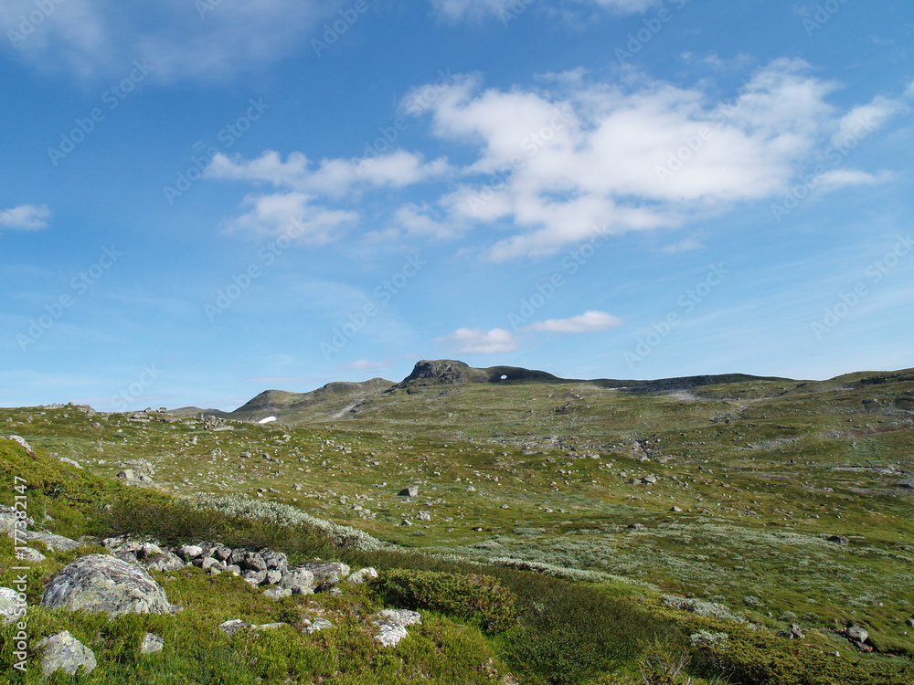 Norwegian mountain Norwegian mountain