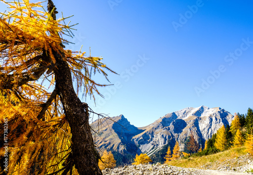 karwendel mountains photo