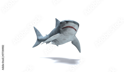 Requin Blanc nageant prêt du fond