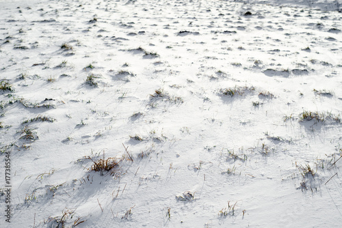 Field in snow  background  winter texture