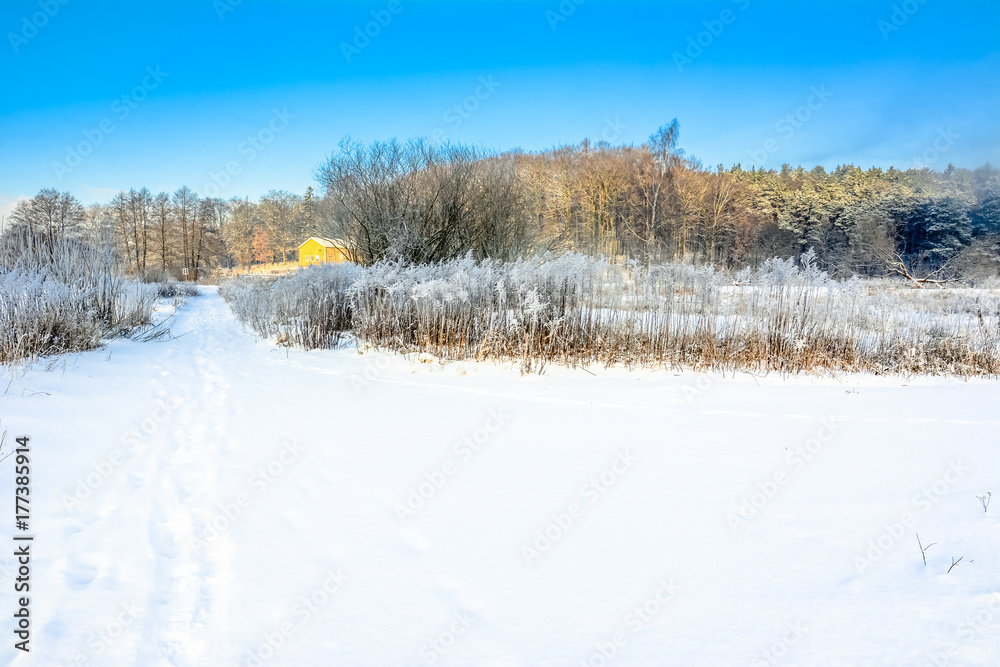 Magical winter landscape with snow on road in countryside and blue sky, white christmas concept
