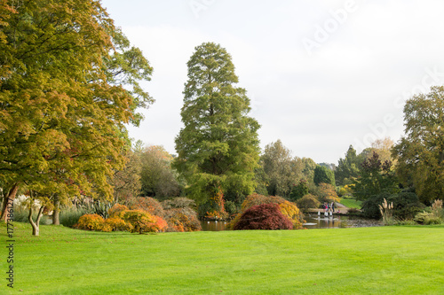 Country garden