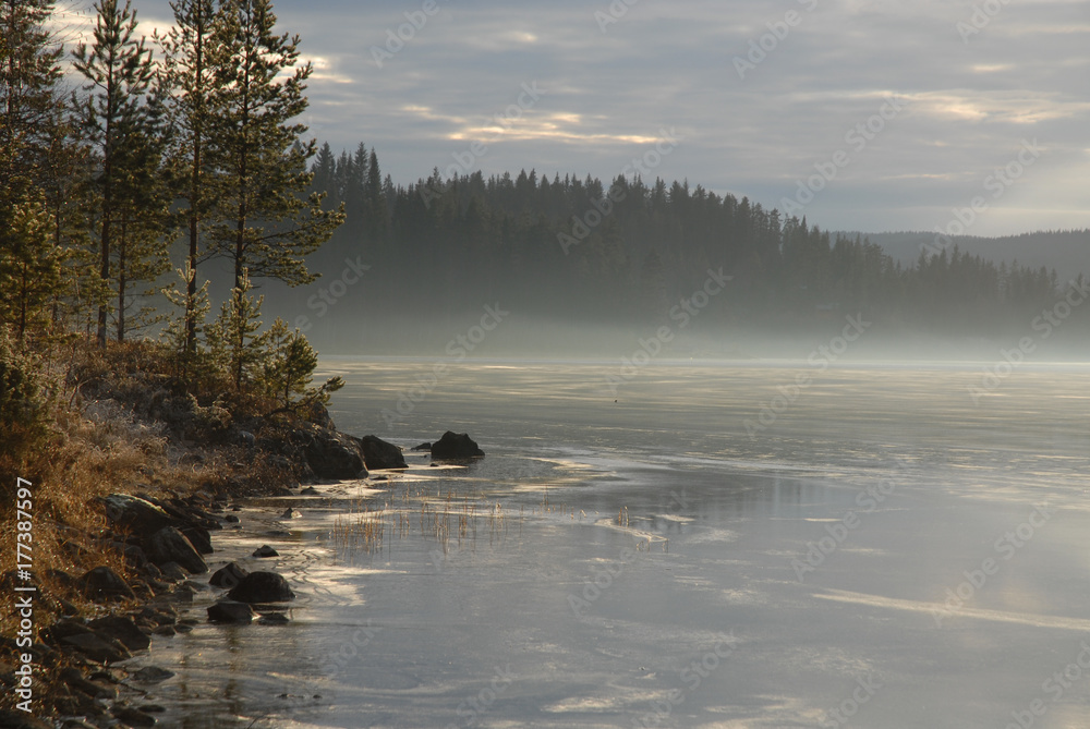 Fototapeta premium Misty lake