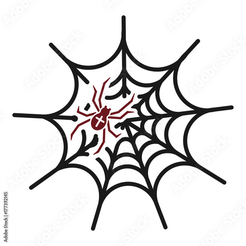 Spinnennetz
