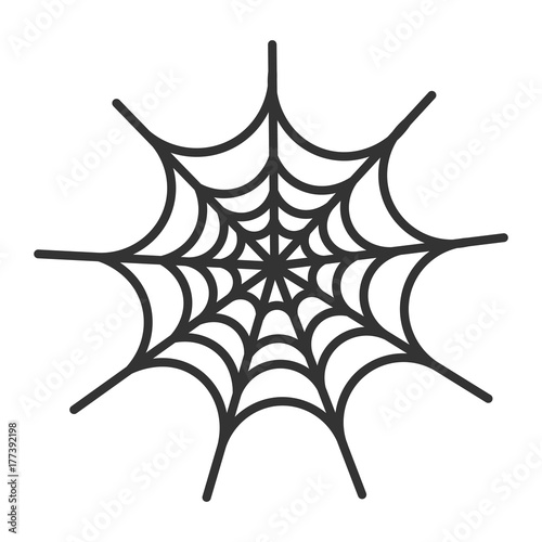 Spinnennetz