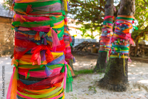 colors cloth wrap around the tree or fabric seven colors towel wrapped plam tree multicolored cloth tied in temple for belief of the Thai buddha worship