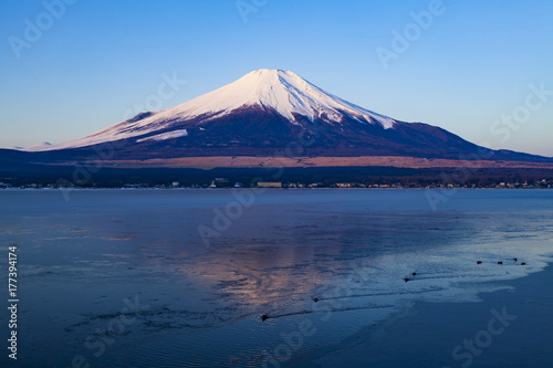 冬の富士山と水鳥たち、山中湖にて
