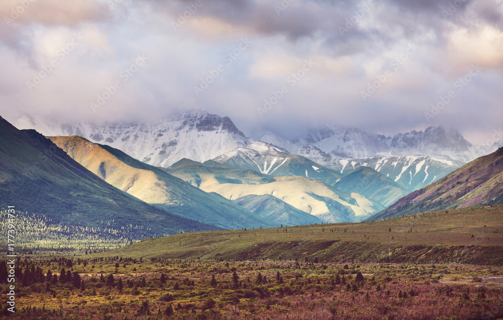 Naklejka premium Mountains in Alaska