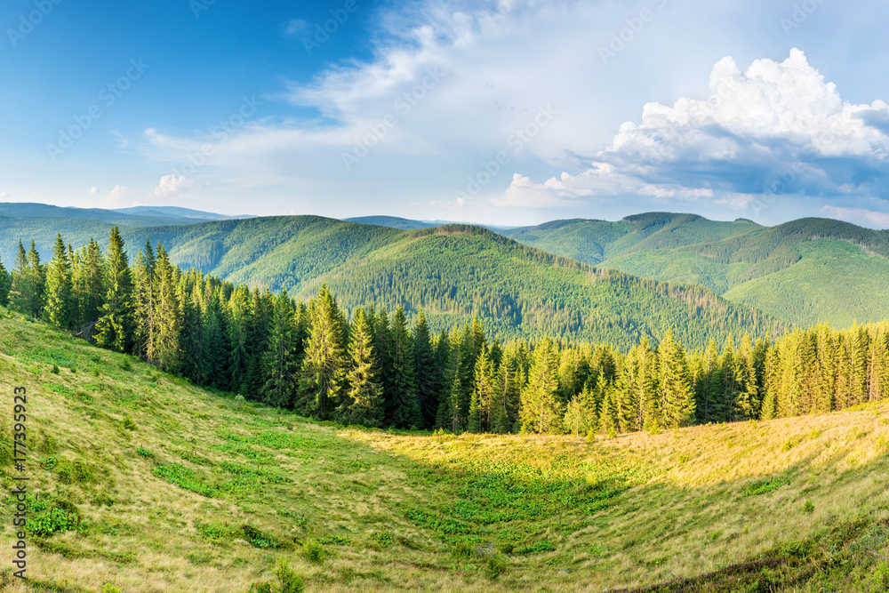 Panorama with green mountains