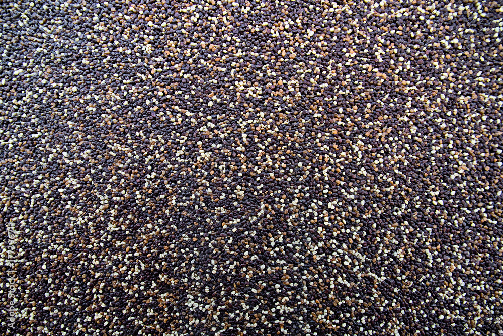 Texture of a surface of small pebbles Texture of a surface of small pebbles