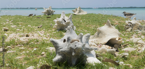 playa bonaire