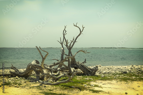 Playa Bonaire